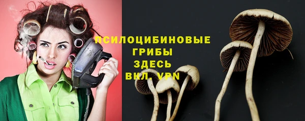 2c-b Балахна