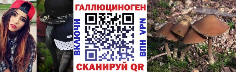 Галлюциногенные грибы Magic Shrooms  Надым 